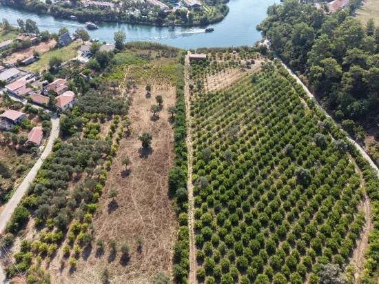Село Köyceğiz в районе Çandır, у канала, 20.000м2 продажа поля