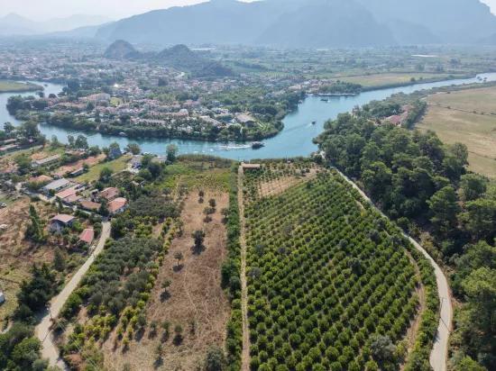 Село Köyceğiz в районе Çandır, у канала, 20.000м2 продажа поля