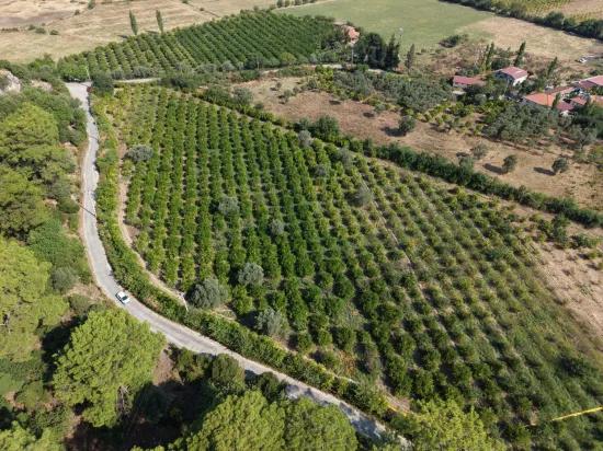Село Köyceğiz в районе Çandır, у канала, 20.000м2 продажа поля