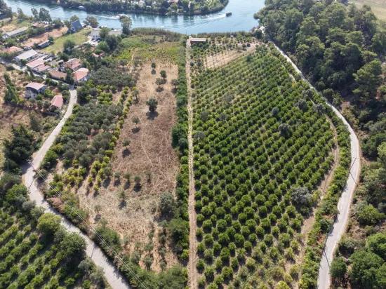 Село Köyceğiz в районе Çandır, у канала, 20.000м2 продажа поля