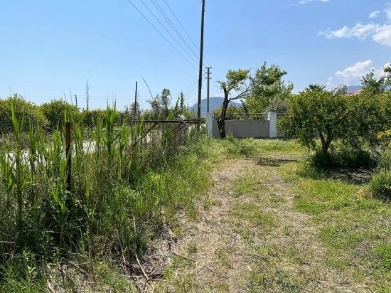 Продается Земельный Участок Площадью 5100 М² В Дальяне, Район Мараш, С Зонированием Под Жилую Застройку На 5%.