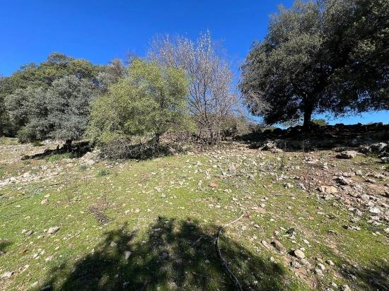 Продается Земельный Участок В Гёкбеле, В Окружении Природы И Леса.