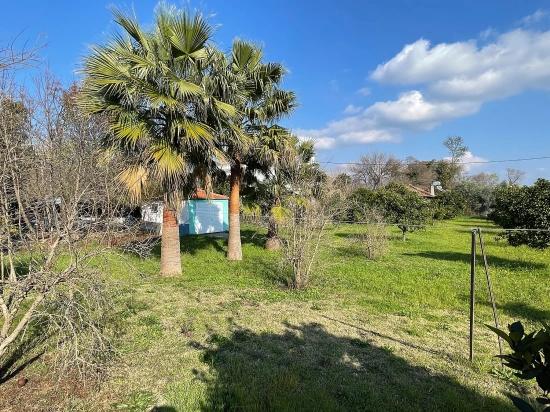 Продается Отдельно Стоящий Одноэтажный Дом На Участке Площадью 2882 М2 В Городе Эскикёй.