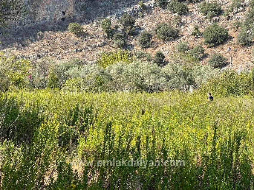 Çandır'da Kanala Sıfır 2765m2 Satılık Müstakil Ev