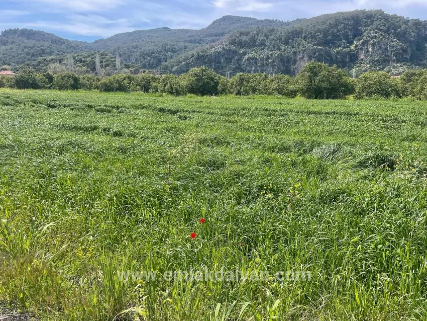 Ortaca Okçular Mah. Satılık Arsa - Konut İmar Durumlu - 736 m²