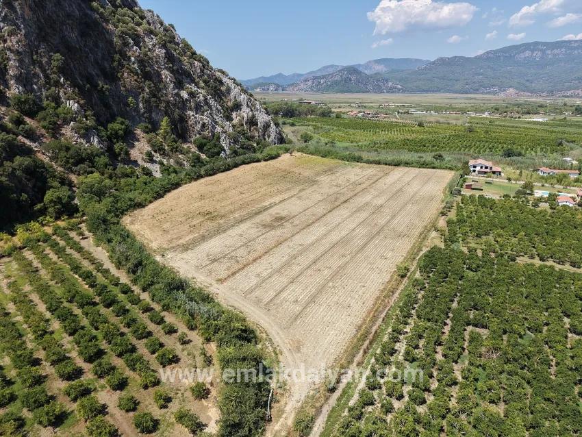 Ortaca Dalyan Mah. Satılık Tarla - Tarla İmar Durumlu - 20.786 m²