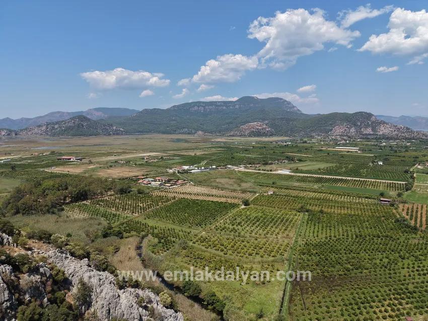 Ortaca Dalyan Mah. Satılık Tarla - Tarla İmar Durumlu - 20.786 m²
