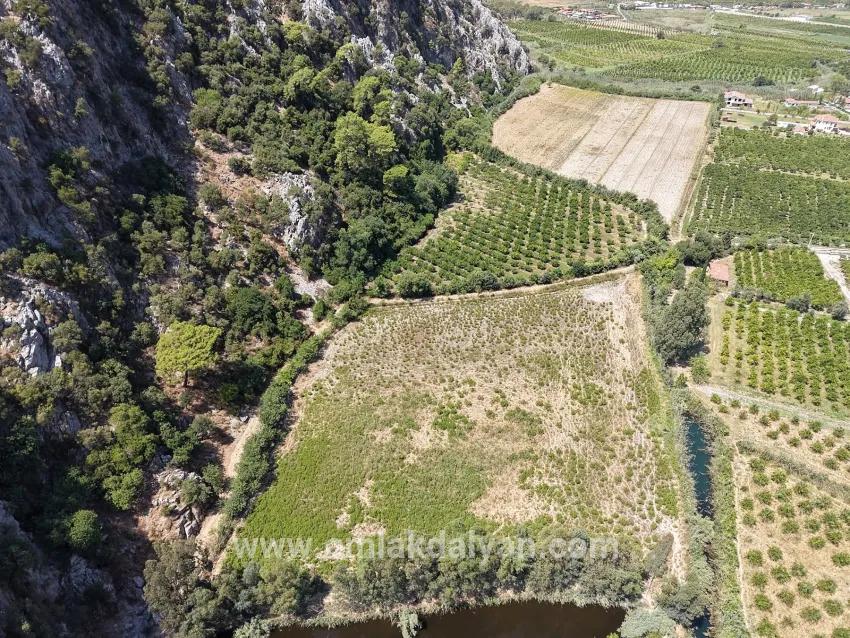 Ortaca Dalyan Mah. Satılık Tarla - Tarla İmar Durumlu - 20.786 m²