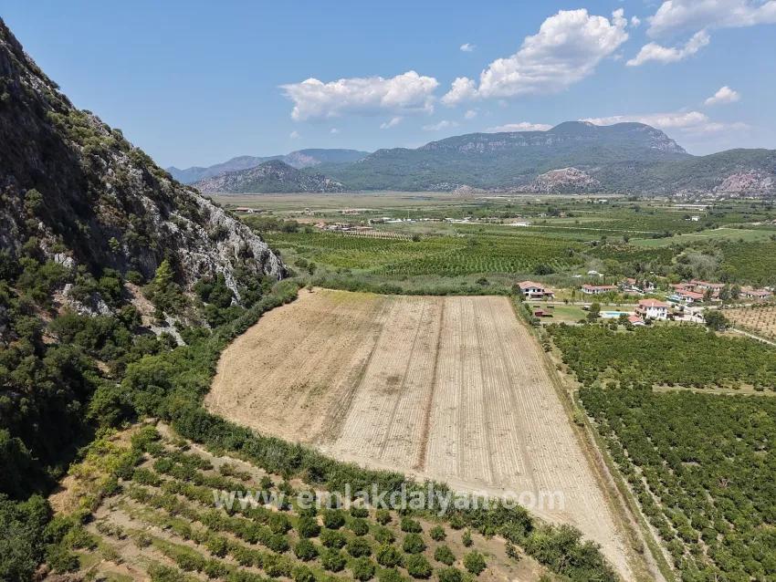 Ortaca Dalyan Mah. Satılık Tarla - Tarla İmar Durumlu - 20.786 m²