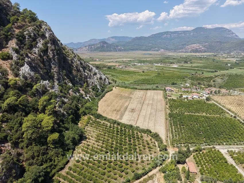 Ortaca Dalyan Mah. Satılık Tarla - Tarla İmar Durumlu - 20.786 m²