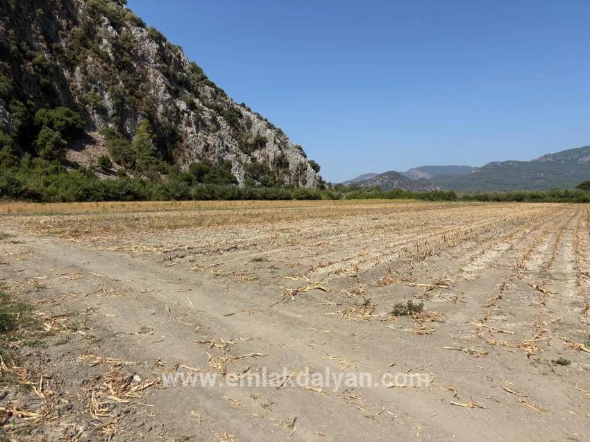 Ortaca Dalyan Mah. Satılık Tarla - Tarla İmar Durumlu - 20.786 m²