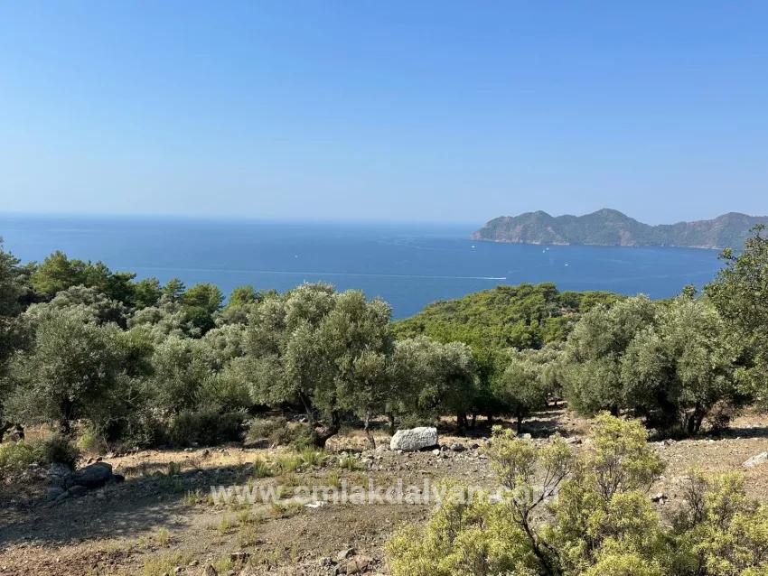 Köyceğiz Çandır Mah. Satılık Tarla - Tarla İmar Durumlu - 21.000 m²