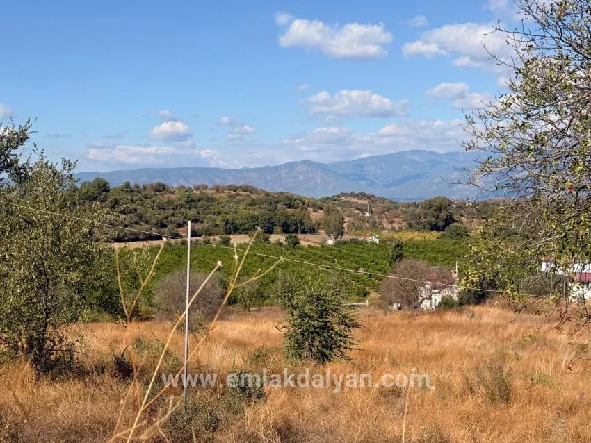 Ortaca Dalyan Mah. Satılık Tarla - Tarla İmar Durumlu - 5.000 m²