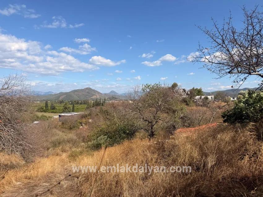 Ortaca Dalyan Mah. Satılık Tarla - Tarla İmar Durumlu - 5.000 m²
