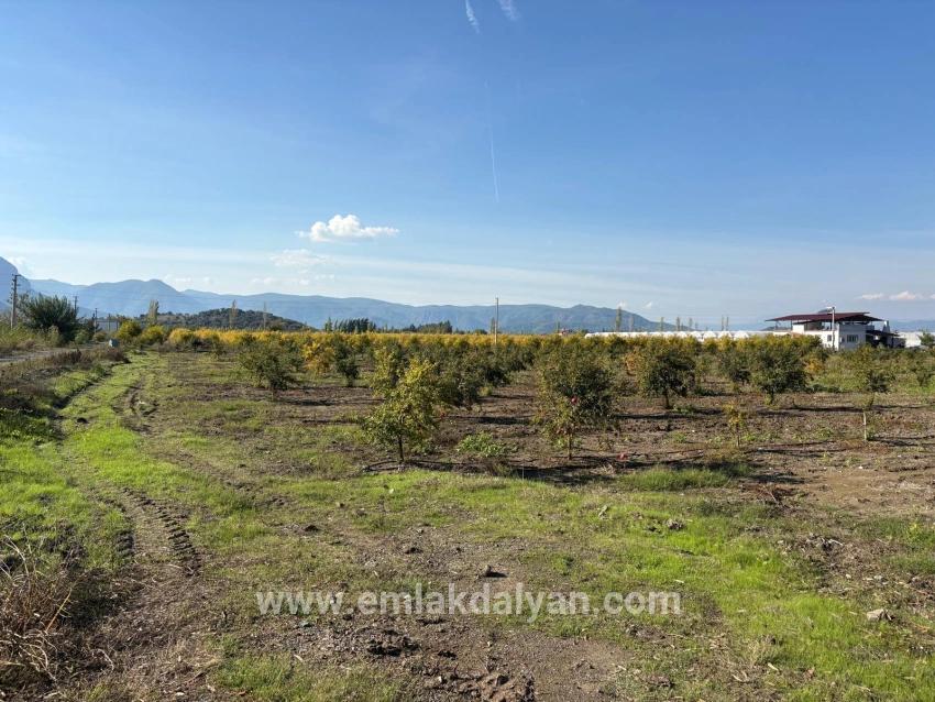 Ortaca Eskiköy Mah. Satılık Tarla - Tarla İmar Durumlu - 21.500 m²