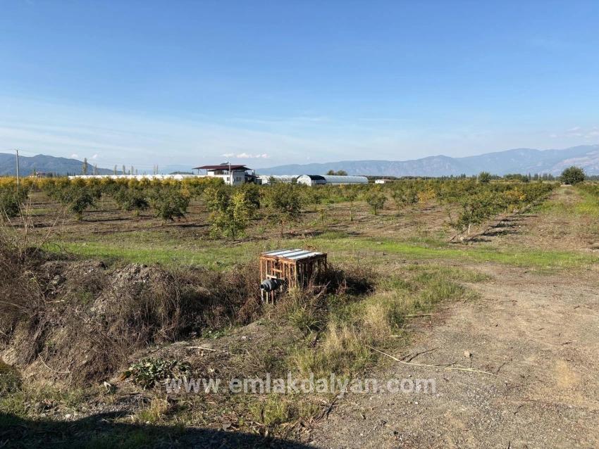 Ortaca Eskiköy Mah. Satılık Tarla - Tarla İmar Durumlu - 21.500 m²