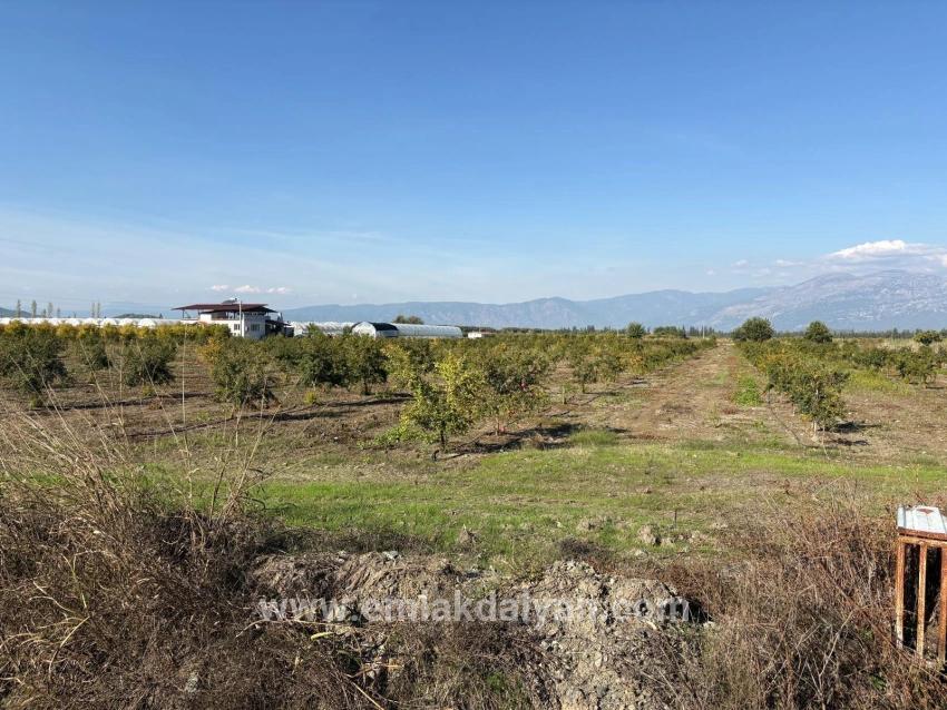 Ortaca Eskiköy Mah. Satılık Tarla - Tarla İmar Durumlu - 21.500 m²