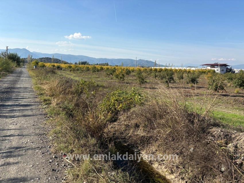Ortaca Eskiköy Mah. Satılık Tarla - Tarla İmar Durumlu - 21.500 m²