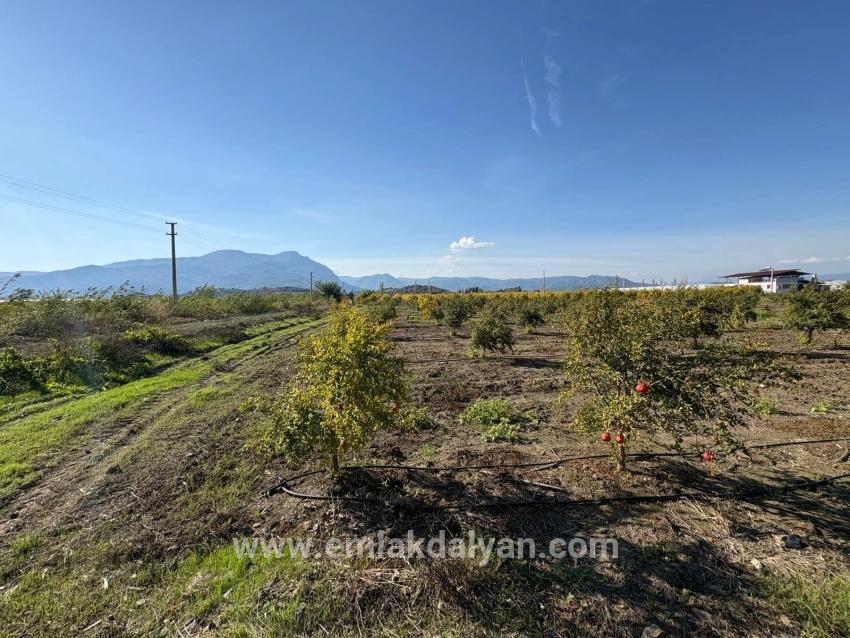 Ortaca Eskiköy Mah. Satılık Tarla - Tarla İmar Durumlu - 21.500 m²