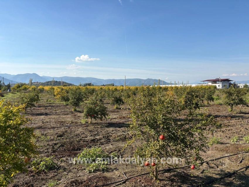 Ortaca Eskiköy Mah. Satılık Tarla - Tarla İmar Durumlu - 21.500 m²