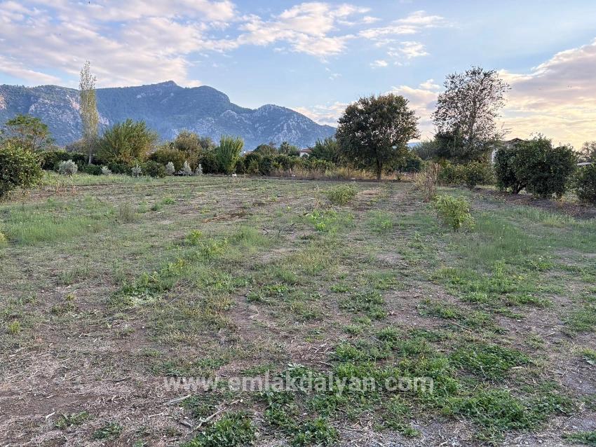 Dalyan'da 7.450m2 %5 İmarlı Satılık Arsa