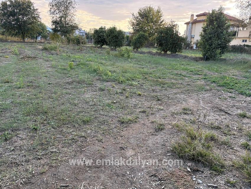 Dalyan'da 7.450m2 %5 İmarlı Satılık Arsa