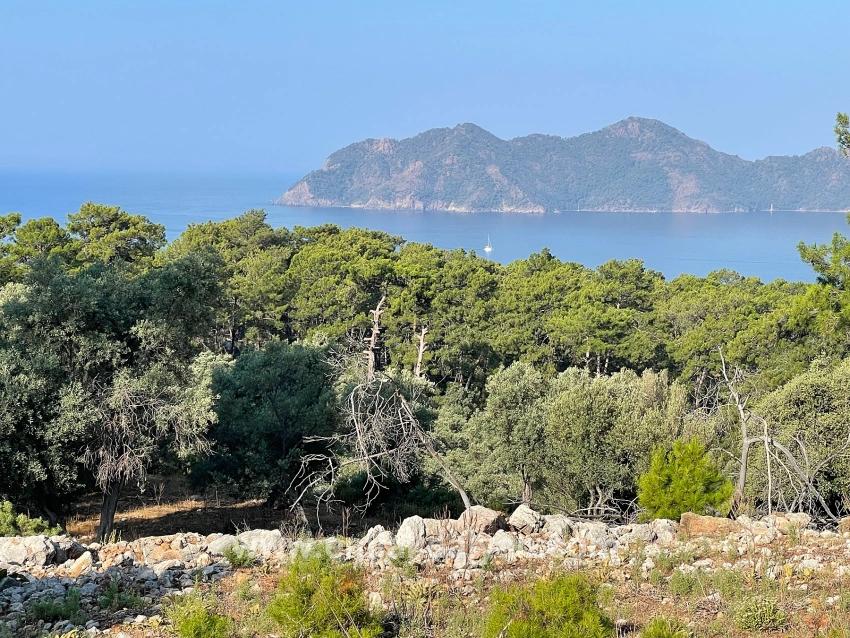 Köyceğiz Çandır Mah. Satılık Tarla - Konut İmar Durumlu - 10.481 m²