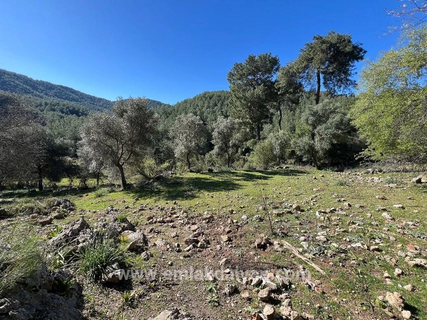 Ortaca Gökbel Mah. Satılık Tarla - Tarla İmar Durumlu - 24.163 m²
