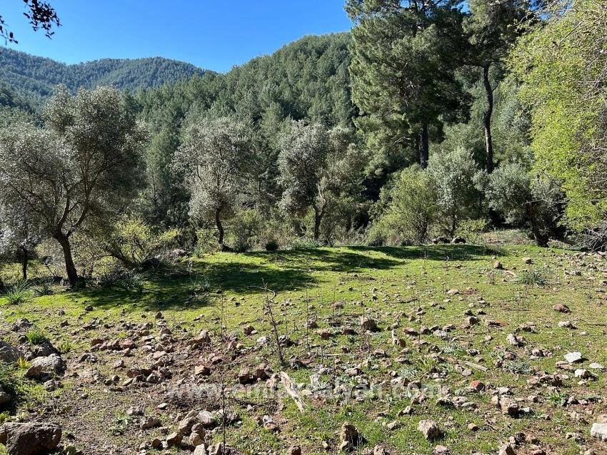 Ortaca Gökbel Mah. Satılık Tarla - Tarla İmar Durumlu - 24.163 m²