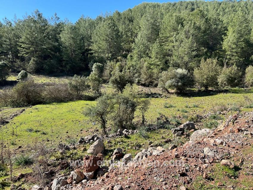 Ortaca Gökbel Mah. Satılık Tarla - Tarla İmar Durumlu - 24.163 m²