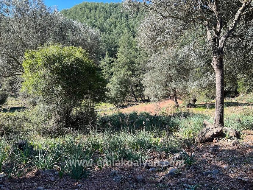 Ortaca Gökbel Mah. Satılık Tarla - Tarla İmar Durumlu - 24.163 m²