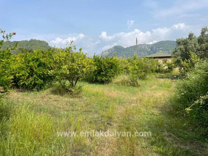 Ortaca Gökbel Mah. Satılık Tarla - Konut İmar Durumlu - 7.800 m²