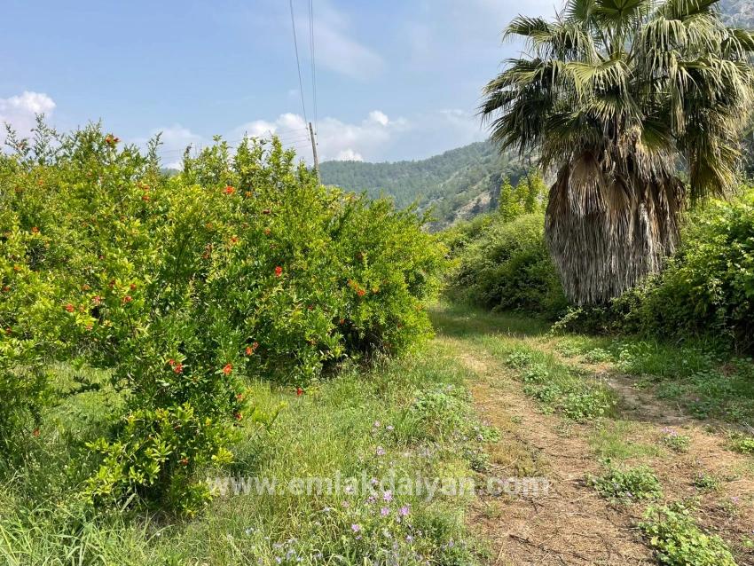 Ortaca Gökbel Mah. Satılık Tarla - Konut İmar Durumlu - 7.800 m²