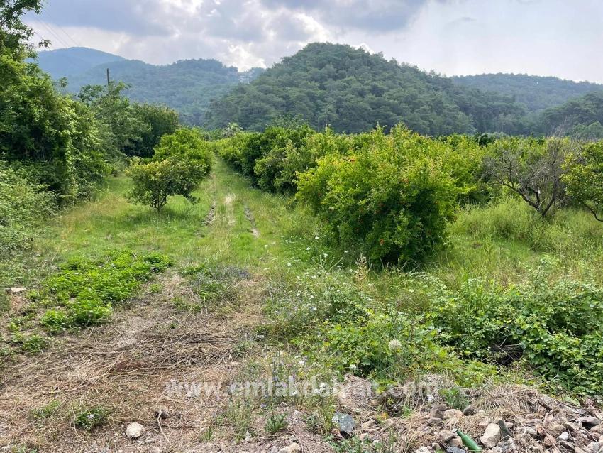 Ortaca Gökbel Mah. Satılık Tarla - Konut İmar Durumlu - 7.800 m²