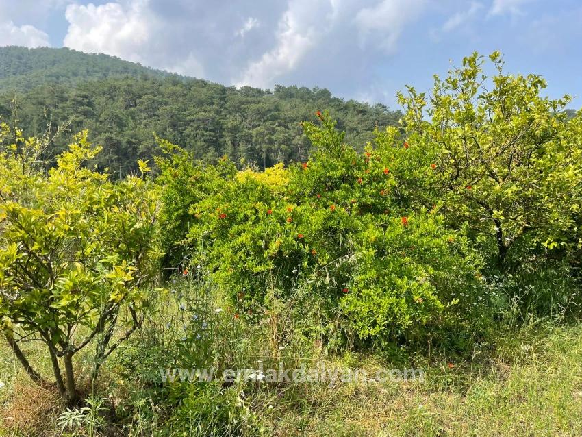 Ortaca Gökbel Mah. Satılık Tarla - Konut İmar Durumlu - 7.800 m²