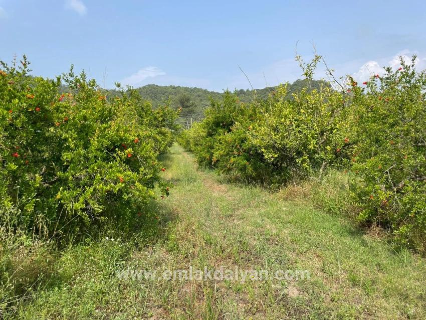 Ortaca Gökbel Mah. Satılık Tarla - Konut İmar Durumlu - 7.800 m²