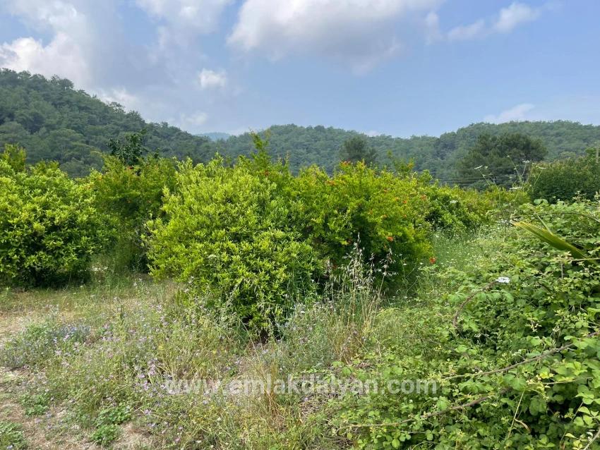 Ortaca Gökbel Mah. Satılık Tarla - Konut İmar Durumlu - 7.800 m²