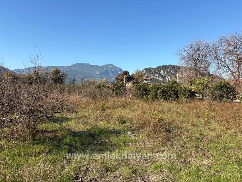 Dalyan'da 4.541m2 Satılık Bahçe
