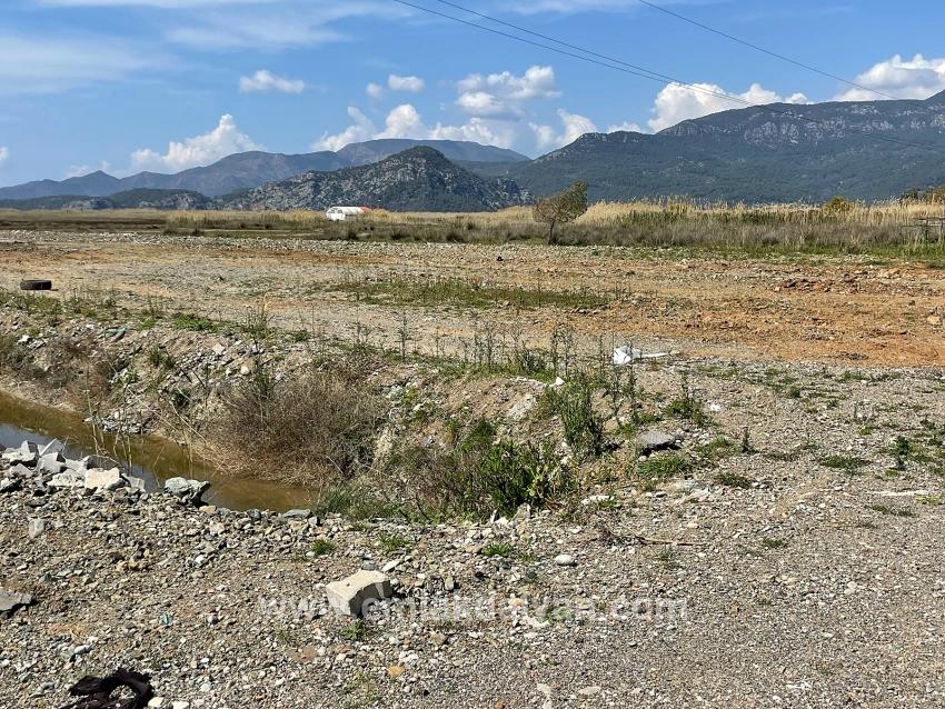 Dalyan İztuzu Plaj Yoluna Sıfır 19.600m2 Satılık Tarla