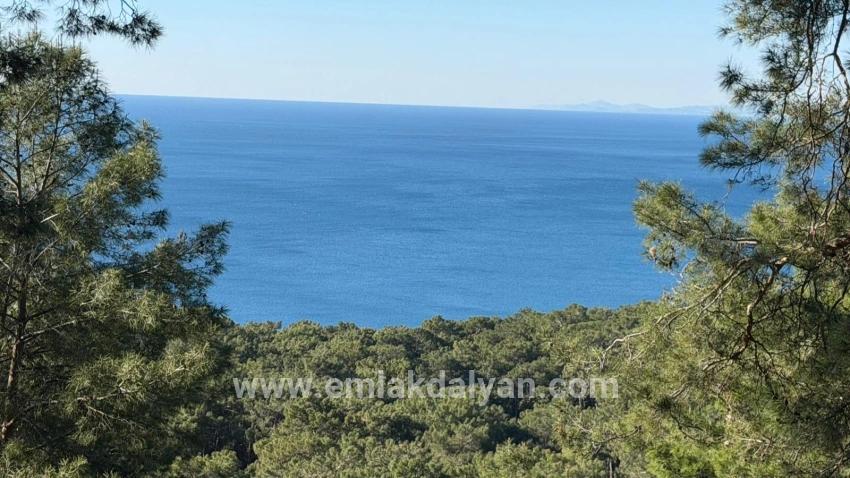 Köyceğiz Çandır Mah. Satılık Tarla - Konut İmar Durumlu - 5.715 m²