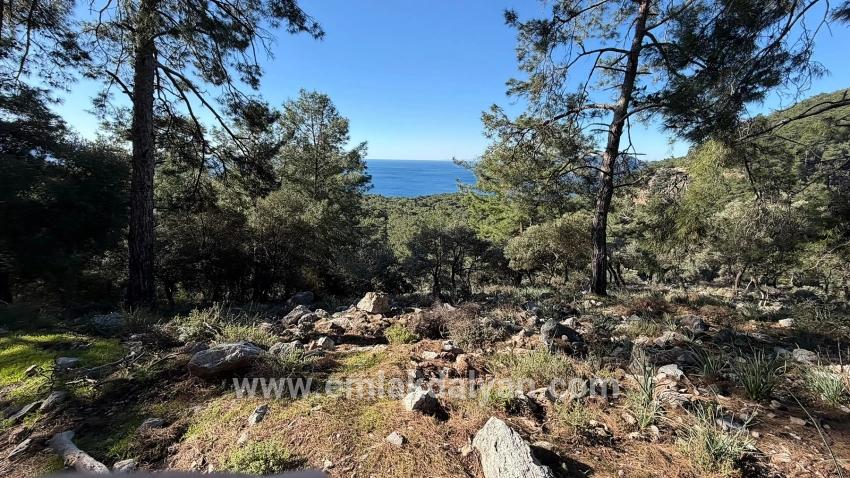 Köyceğiz Çandır Mah. Satılık Tarla - Konut İmar Durumlu - 5.715 m²