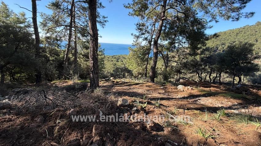Köyceğiz Çandır Mah. Satılık Tarla - Konut İmar Durumlu - 5.715 m²