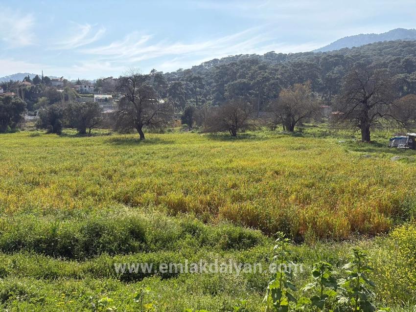 Köyceğiz Çandır Mah. Satılık Tarla - Konut İmar Durumlu - 2.023 m²