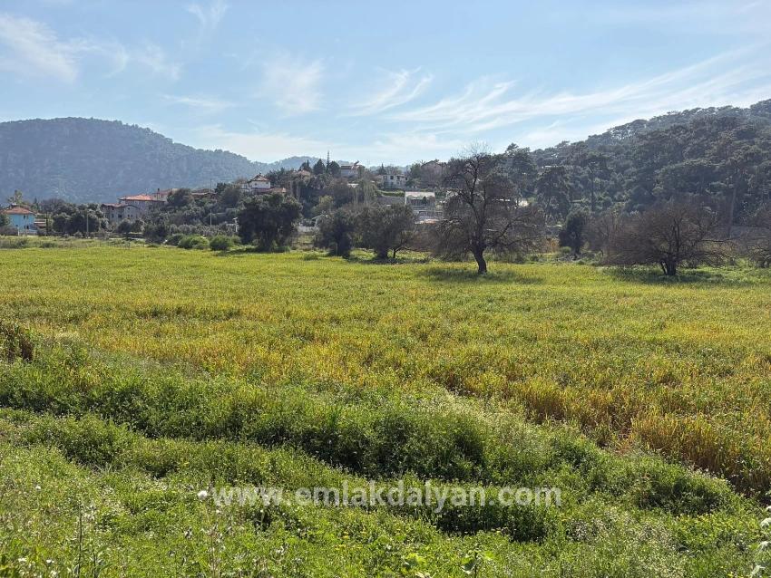 Köyceğiz Çandır Mah. Satılık Tarla - Konut İmar Durumlu - 2.023 m²