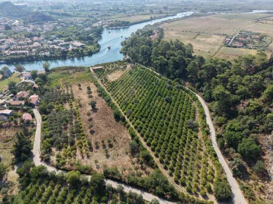 Köyceğiz Çandır Mahallesinde kanala sıfır 20.000m2 satılık tarla