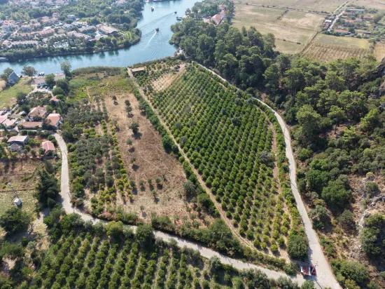 Köyceğiz Çandır Mahallesinde kanala sıfır 20.000m2 satılık tarla
