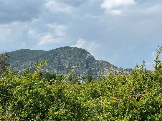 Dalyan Maraş Mevkiinden 5,100m2 %5 Konut İmarlı Satılık Arsa