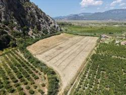 Ortaca Dalyan Mah. Satılık Tarla - Tarla İmar Durumlu - 20.786 m²