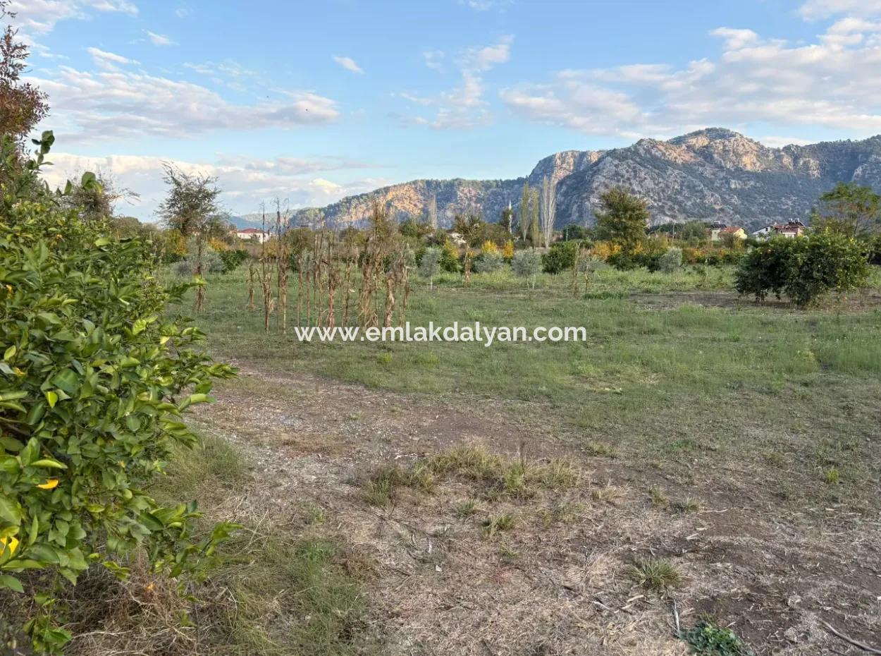 Dalyan Merkeze Yakın 7,450M2 Satılık Arsa