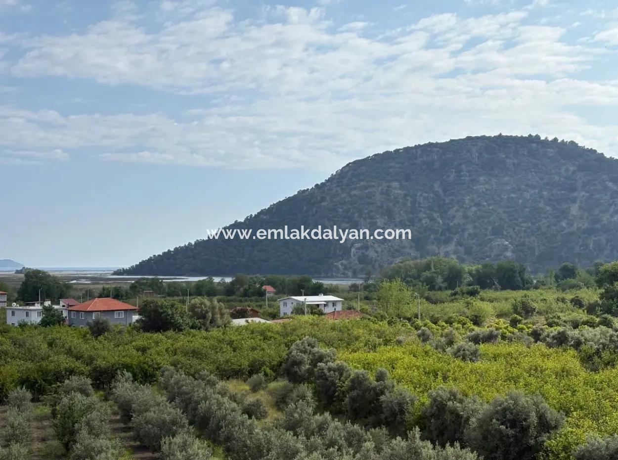 Çandır Köyünde Deniz Ve Göl Manzaralı 1,721M2 Satılık Tarla